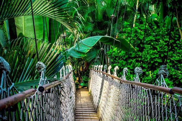 EcoPalms